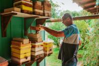 O produtor Erich de Barros Lange com caixas de abelhas.