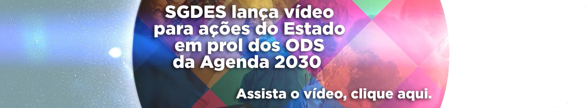 Programa SGDES