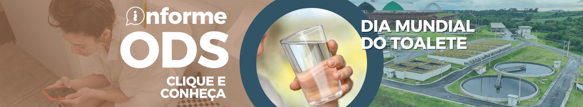 Dia Mundial do Toalete
