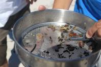 Agenda de delegação catalunha compõe visitas técnicas e institucionais