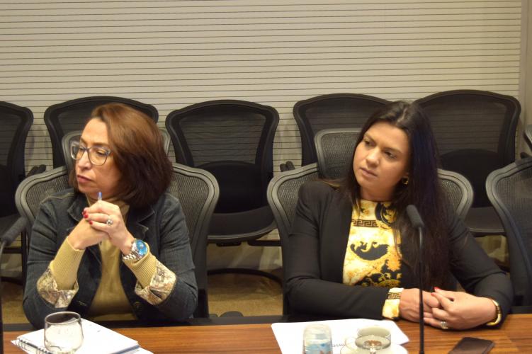 Casa Civil do Paraná lança Projeto Mandala para reforçar protagonismo em sustentabilidade