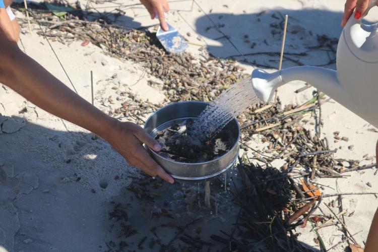 Agenda de delegação catalunha compõe visitas técnicas e institucionais
